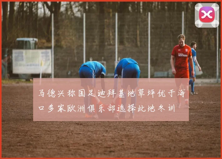 马德兴称国足迪拜基地草坪优于海口多家欧洲俱乐部选择此地冬训