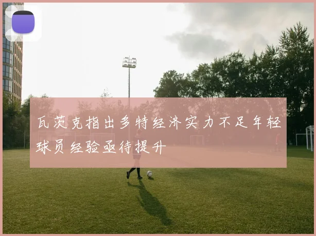 瓦茨克指出多特经济实力不足年轻球员经验亟待提升